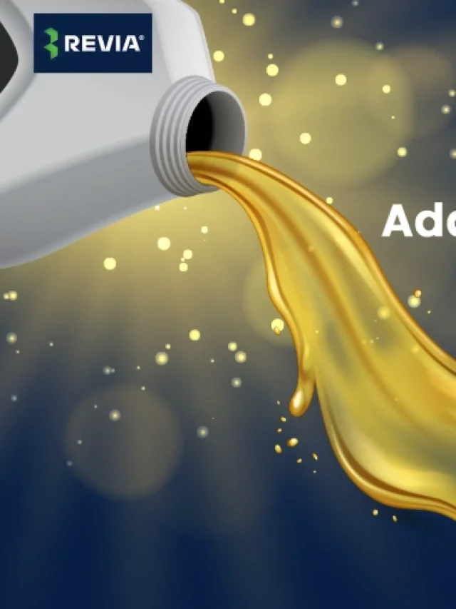Gear Oil Leakage